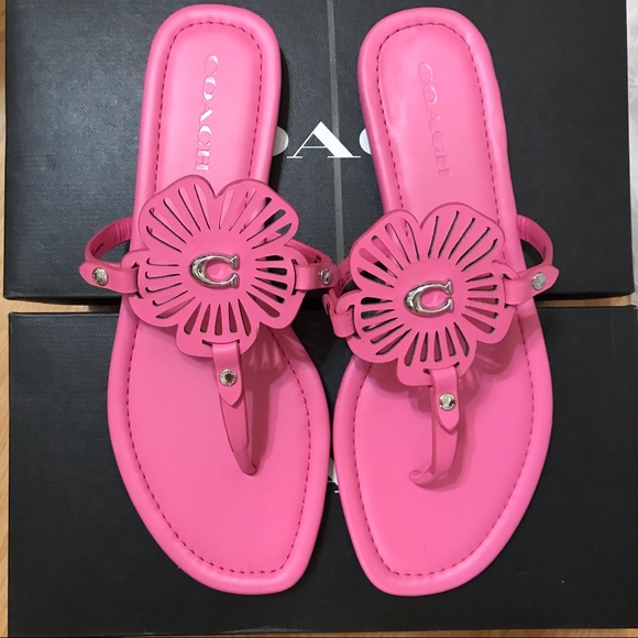 🌸 Coach JULIA SANDAL PETUNIA 6.5 7 🌺 - Picture 2 of 11